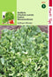 2 stuks - Hortitops - Andijvie Breedblad Volhart Winter