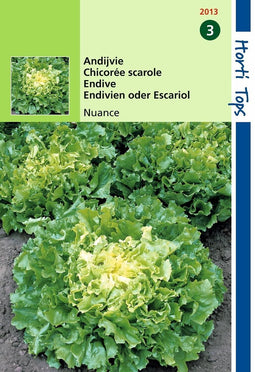 2 stuks Hortitops Andijvie Nuance