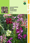 2 stuks - Hortitops - Antirrhinum Majus Nanum Tetraploide Gemengd