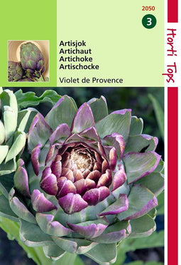 2 stuks Hortitops Artisjok Violet De Provence