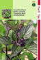2 stuks Hortitops Basilicum Kaneelsmaak