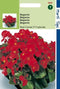 2 stuks - Hortitops - Begonia Semp. F1 Hybride Rode Komeet