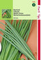 2 stuks Hortitops Bieslook Grove Allium Fistulosum