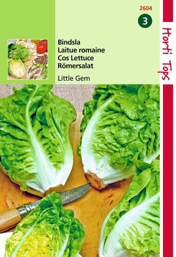 2 stuks - Hortitops - Bindsla Romeinse mini sla Little Gem Sucrine