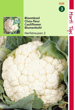 2 stuks - Hortitops - Bloemkool Herfstreuzen 2