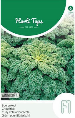 2 stuks Hortitops Boerenkool Winterbor F1