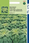 2 stuks Hortitops Boerenkool Winterbor F1