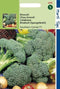 2 stuks - Hortitops - Broccoli Marathon V H Premium Crop F1