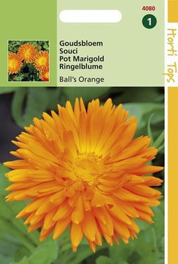 2 stuks Hortitops Calendula officinalis Dubbelbl. Ball s Oranje