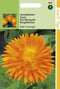 2 stuks Hortitops Calendula officinalis Dubbelbl. Ball s Oranje