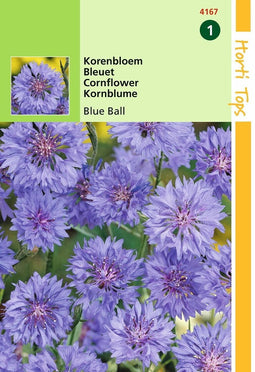 2 stuks Hortitops Centaurea cyanus dubbelbloemig Blue Ball
