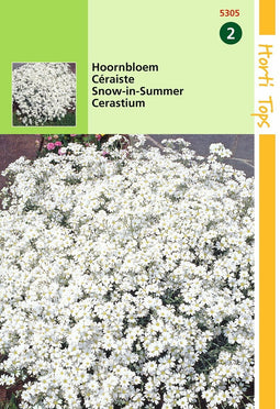 2 stuks - Hortitops - Cerastium Biebersteinii
