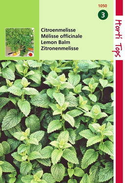 2 stuks Hortitops Citroenmelisse