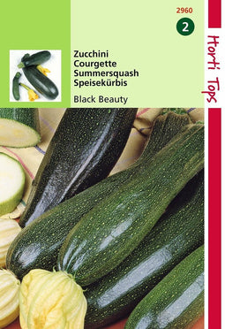 2 stuks - Hortitops - Courgette Black Beauty Verte De Milan