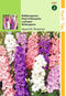 2 stuks Hortitops Delphinium Ajacis Hyacinthbloemig Gemengd