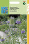 2 stuks Hortitops Dipsacus Sativus Fullonum Weverskaarde op op