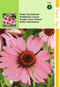 2 stuks - Hortitops - Echinacea Rudbeckia Purpurea