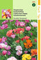 2 stuks - Hortitops - Eschscholtzia Californica Dubbelbl. Gem.