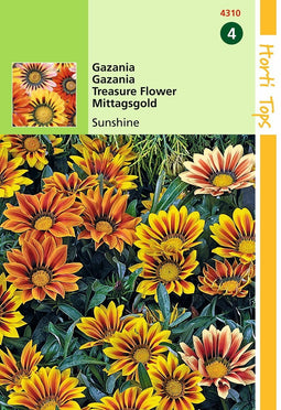 2 stuks - Hortitops - Gazania Splendens Hybrida Sunshine Gemengd