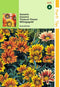 2 stuks - Hortitops - Gazania Splendens Hybrida Sunshine Gemengd