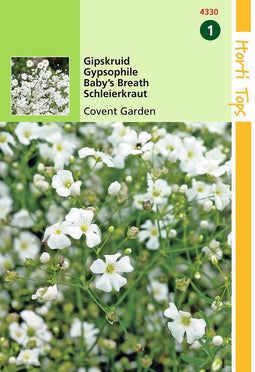 2 stuks - Hortitops - Gypsophila Elegans Covent Garden Wit