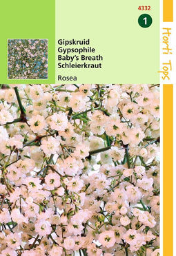 2 stuks - Hortitops - Gypsophila Elegans Diep Rose