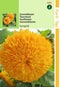 2 stuks - Hortitops - Helianthus Annuus Sungold Dubbelbl. Hoog