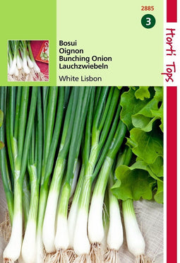 2 stuks - Hortitops - HT Bosui White Lisbon