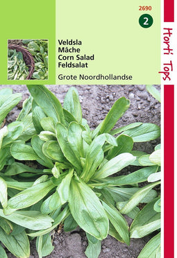 2 stuks - Hortitops - HT Veldsla Grote Noordhollandse