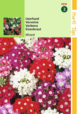 2 stuks - Hortitops - HT Verbena, IJzerhard gemengd