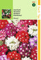 2 stuks - Hortitops - HT Verbena, IJzerhard gemengd