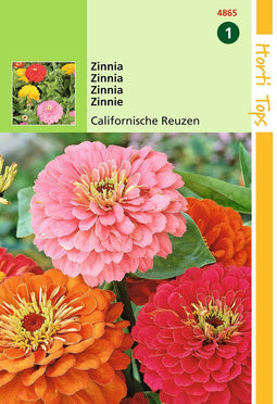 2 stuks - Hortitops - HT Zinnia Californische Reuzen gemengd