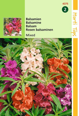 2 stuks - Hortitops - Impatiens Balsamina Balsamine Dubbelbl. Gemengd