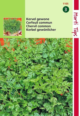 2 stuks - Hortitops - Kervel