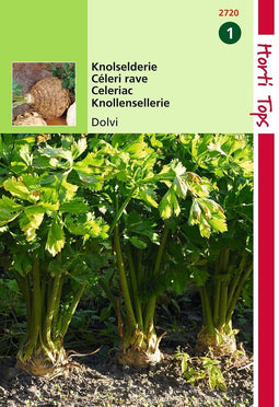 2 stuks - Hortitops - Knolselderie Dolvi, Verb. Prager Reuzen