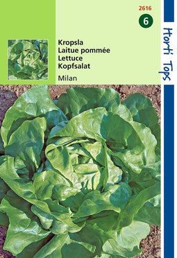 2 stuks - Hortitops - Kropsla Milan