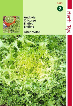 2 stuks - Hortitops - Krulandijvie Fijne Krul Geel Altijd Witte