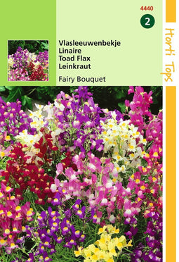2 stuks - Hortitops - Linaria Maroccana Fairy Bouquet Gem.