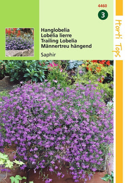 2 stuks - Hortitops - Lobelia Pendula Saphir
