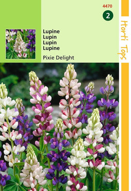 2 stuks - Hortitops - Lupinus Nanus Pixie Delight Gemengd
