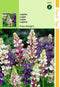 2 stuks - Hortitops - Lupinus Nanus Pixie Delight Gemengd