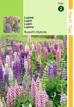 2 stuks - Hortitops - Lupinus Polyphyllus Russell S Hybr. Gemengd