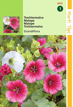2 stuks - Hortitops - Malope Trifida Grandiflora Gemengd