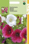 2 stuks - Hortitops - Malope Trifida Grandiflora Gemengd