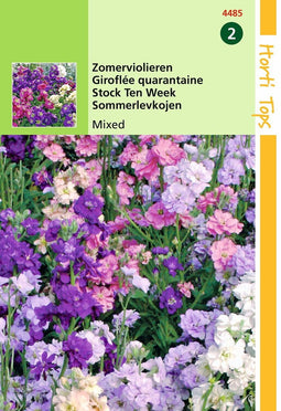 2 stuks - Hortitops - Matthiola Incana Dubbelbl. Gem.