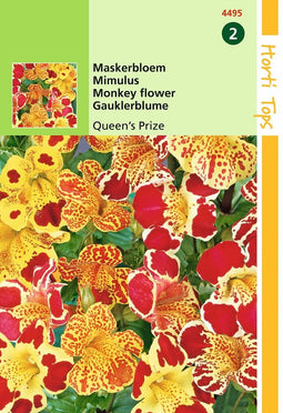 2 stuks - Hortitops - Mimulus Cupr. Queen s Prize