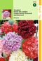 2 stuks - Hortitops - Papaver Somniferum Paeoniflorum Gemengd