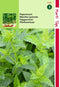 2 stuks - Hortitops - Pepermunt