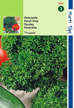 2 stuks - Hortitops - Peterselie Thujade Orig. Donkergroene