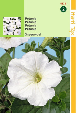 2 stuks - Hortitops - Petunia Hybr.Nana Comp. Sneeuwbal